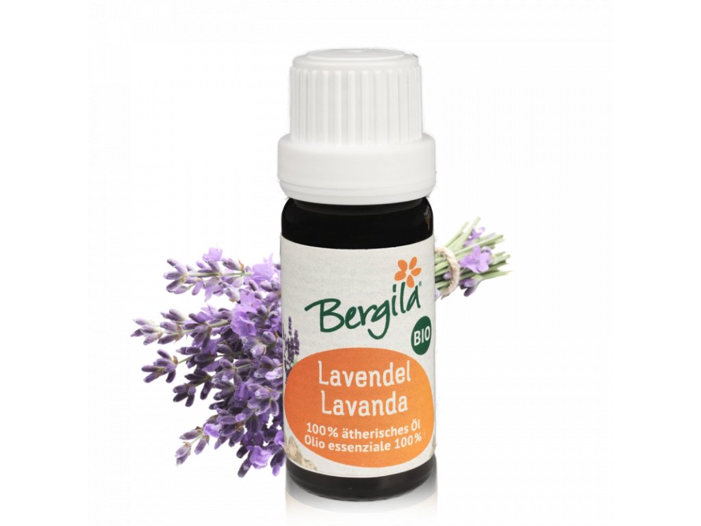 410_lavandula-hybrida--lavandin--bio blank