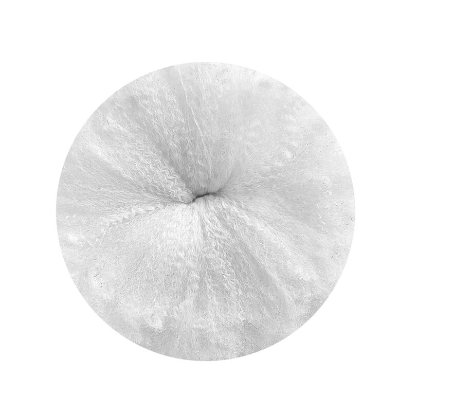 10690001_002 blank