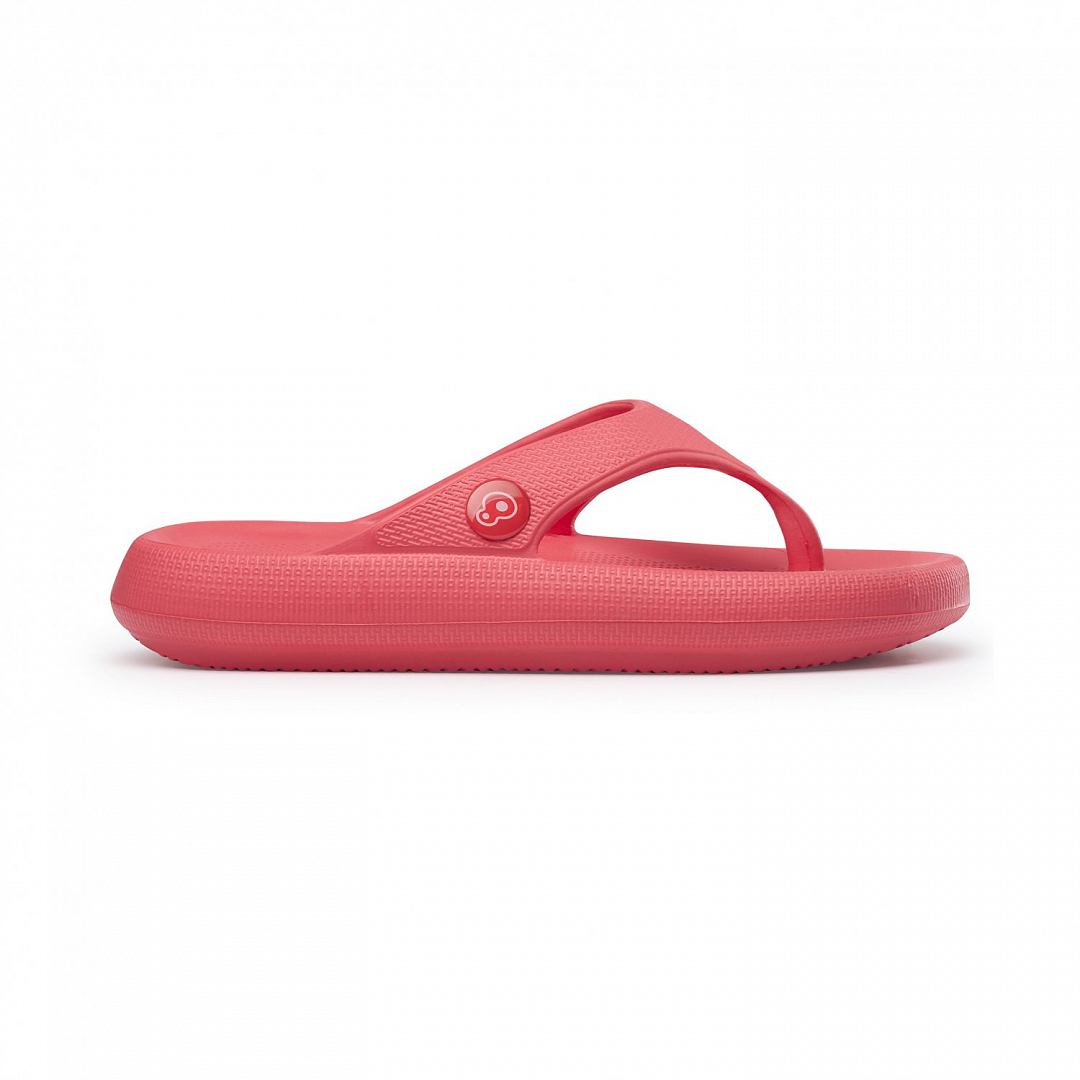 2654_0148-Corail-Profil-preview blank